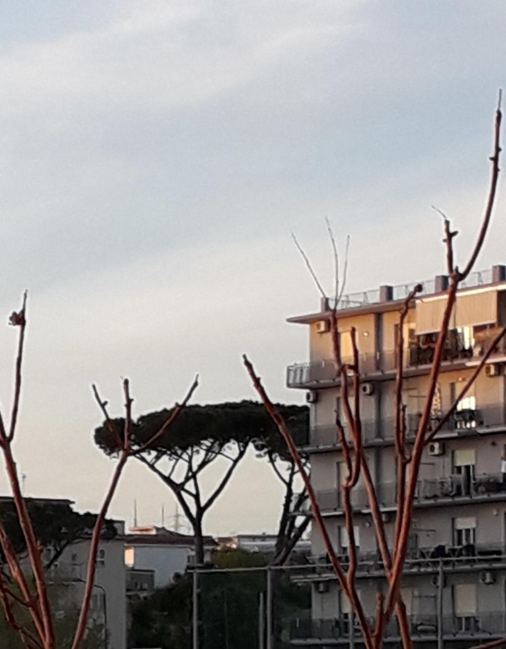 Mare Azzurro Bed and Breakfast Torre del Greco Buitenkant foto